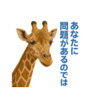 なかよしどうぶつ図鑑(毒吐くキリンさん)（個別スタンプ：11）