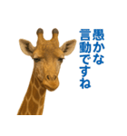 なかよしどうぶつ図鑑(毒吐くキリンさん)（個別スタンプ：17）