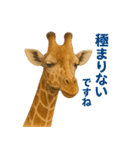 なかよしどうぶつ図鑑(毒吐くキリンさん)（個別スタンプ：19）