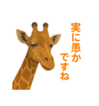 なかよしどうぶつ図鑑(毒吐くキリンさん)（個別スタンプ：21）