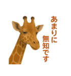 なかよしどうぶつ図鑑(毒吐くキリンさん)（個別スタンプ：28）