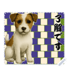 犬の メッセージ スタンプ 115（個別スタンプ：2）