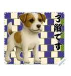 犬の メッセージ スタンプ 115（個別スタンプ：4）