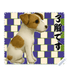 犬の メッセージ スタンプ 115（個別スタンプ：5）