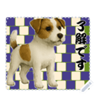 犬の メッセージ スタンプ 115（個別スタンプ：7）