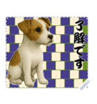 犬の メッセージ スタンプ 115（個別スタンプ：8）