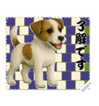 犬の メッセージ スタンプ 115（個別スタンプ：9）