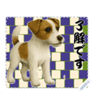 犬の メッセージ スタンプ 115（個別スタンプ：11）