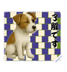 犬の メッセージ スタンプ 115（個別スタンプ：12）