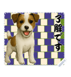 犬の メッセージ スタンプ 115（個別スタンプ：13）
