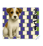 犬の メッセージ スタンプ 115（個別スタンプ：14）