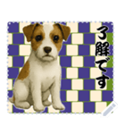 犬の メッセージ スタンプ 115（個別スタンプ：15）