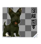 犬の メッセージ スタンプ 75（個別スタンプ：2）