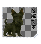 犬の メッセージ スタンプ 75（個別スタンプ：3）