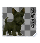犬の メッセージ スタンプ 75（個別スタンプ：5）