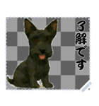 犬の メッセージ スタンプ 75（個別スタンプ：15）