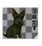犬の メッセージ スタンプ 75（個別スタンプ：16）
