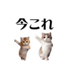 踊る！今これにゃんこ（個別スタンプ：1）