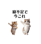踊る！今これにゃんこ（個別スタンプ：4）