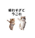 踊る！今これにゃんこ（個別スタンプ：9）