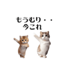 踊る！今これにゃんこ（個別スタンプ：16）