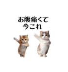踊る！今これにゃんこ（個別スタンプ：17）