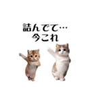 踊る！今これにゃんこ（個別スタンプ：23）