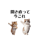 踊る！今これにゃんこ（個別スタンプ：24）
