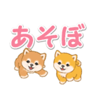 カラフル超でか文字♪ころころ豆柴（個別スタンプ：1）
