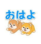 カラフル超でか文字♪ころころ豆柴（個別スタンプ：2）