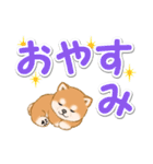 カラフル超でか文字♪ころころ豆柴（個別スタンプ：6）