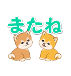 カラフル超でか文字♪ころころ豆柴（個別スタンプ：8）