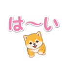 カラフル超でか文字♪ころころ豆柴（個別スタンプ：11）