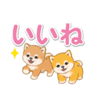 カラフル超でか文字♪ころころ豆柴（個別スタンプ：13）