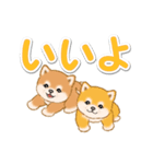 カラフル超でか文字♪ころころ豆柴（個別スタンプ：14）