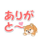 カラフル超でか文字♪ころころ豆柴（個別スタンプ：17）