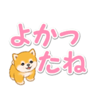 カラフル超でか文字♪ころころ豆柴（個別スタンプ：18）
