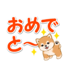 カラフル超でか文字♪ころころ豆柴（個別スタンプ：19）