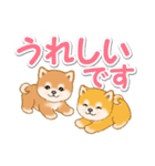 カラフル超でか文字♪ころころ豆柴（個別スタンプ：20）