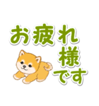 カラフル超でか文字♪ころころ豆柴（個別スタンプ：21）
