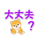 カラフル超でか文字♪ころころ豆柴（個別スタンプ：25）