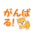 カラフル超でか文字♪ころころ豆柴（個別スタンプ：27）