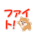 カラフル超でか文字♪ころころ豆柴（個別スタンプ：28）