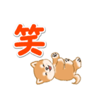 カラフル超でか文字♪ころころ豆柴（個別スタンプ：33）