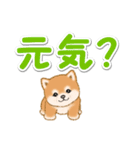 カラフル超でか文字♪ころころ豆柴（個別スタンプ：35）