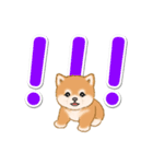 カラフル超でか文字♪ころころ豆柴（個別スタンプ：39）