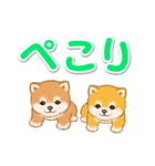 カラフル超でか文字♪ころころ豆柴（個別スタンプ：40）