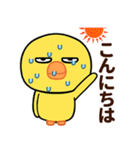 目つきの悪いヒヨコの夏休み（個別スタンプ：1）