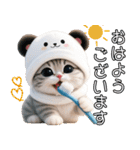 パンダ帽が可愛い猫 キュートな夏（個別スタンプ：2）
