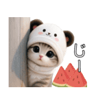 パンダ帽が可愛い猫 キュートな夏（個別スタンプ：16）